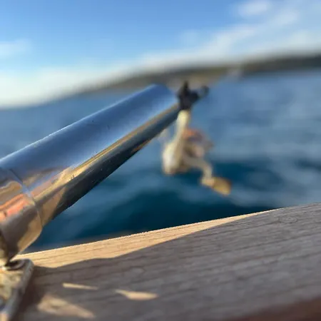 The White Donkey House *