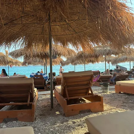 The White Donkey House *