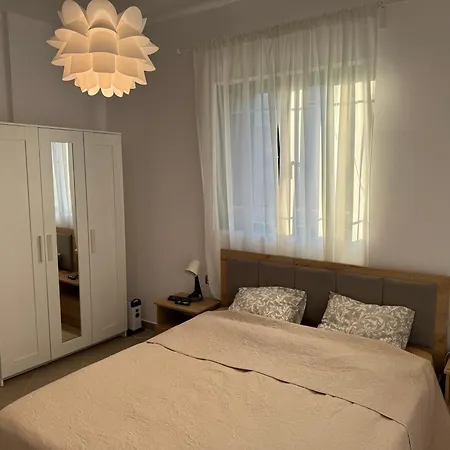 The White Donkey House *