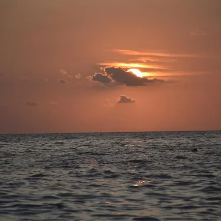 Appartamento The White Donkey House *