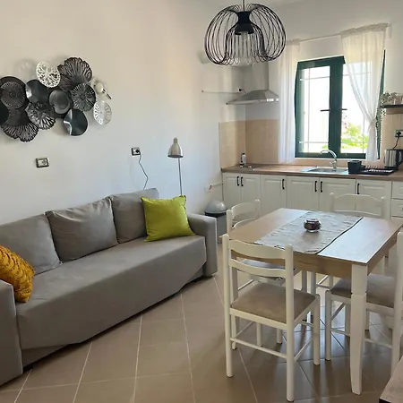 The White Donkey House *