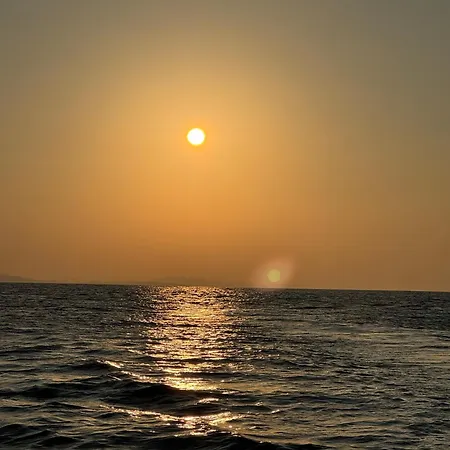 The White Donkey House