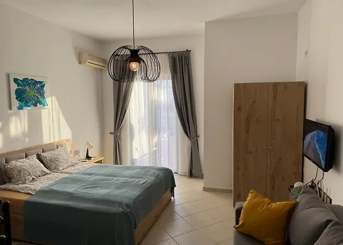 The White Donkey House *