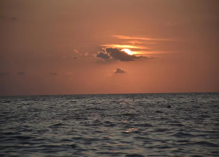 Appartement The White Donkey House *