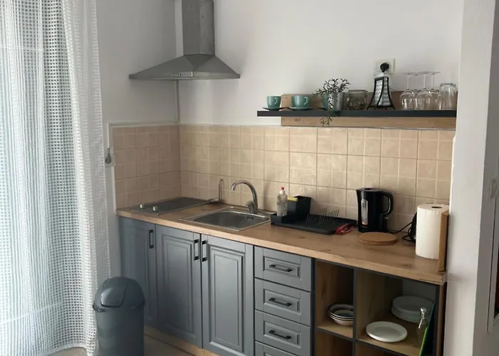 The White Donkey House *