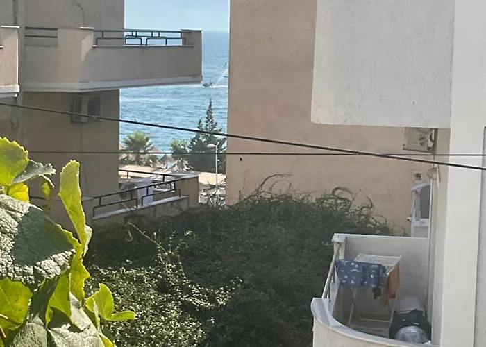 The White Donkey House