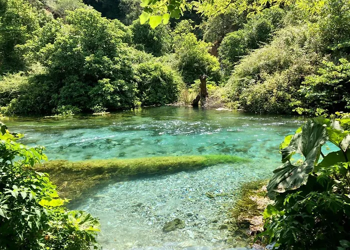 The White Donkey House Saranda