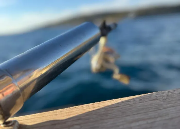 The White Donkey House *