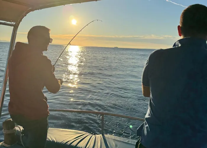 The White Donkey House Appartement *