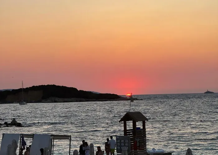 The White Donkey House *