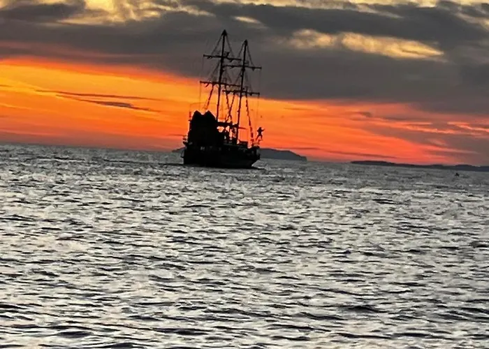 The White Donkey House *