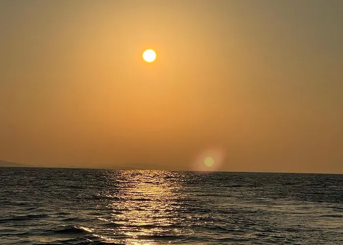 The White Donkey House