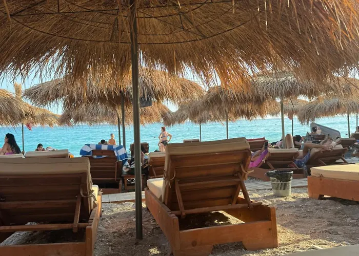 The White Donkey House *